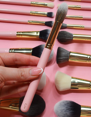 P.Louise #673 Brush a faccia multiuso medio