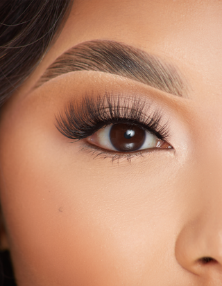 P.Louise Lashes - Blink in Beauty