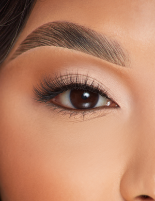 P.louise ciglia - puro scopo