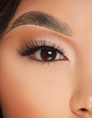 P.Louise Lashes - Taste of Tasease