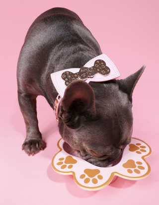 P.Louise Dog Bowl