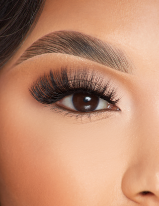 Image of an eye wearing P.Louise Live Loved Lashed false lashes