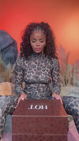 La scatola PR di Hot Spot Cheetah