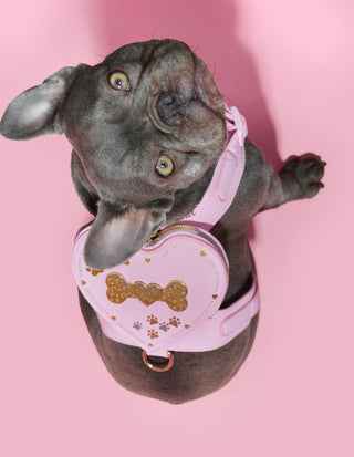 P.Louise Chackpack dell'imbracatura per cani